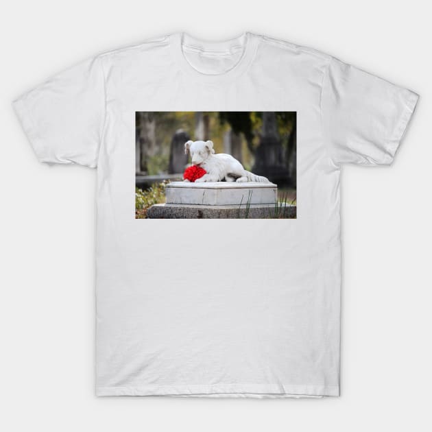 Dog Tombstone With Red Flower T-Shirt by Cynthia48
